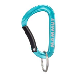 MAMMUT Mini Karabína Classic Farba: Modrá